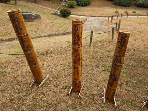 PXL_20221228_060208404