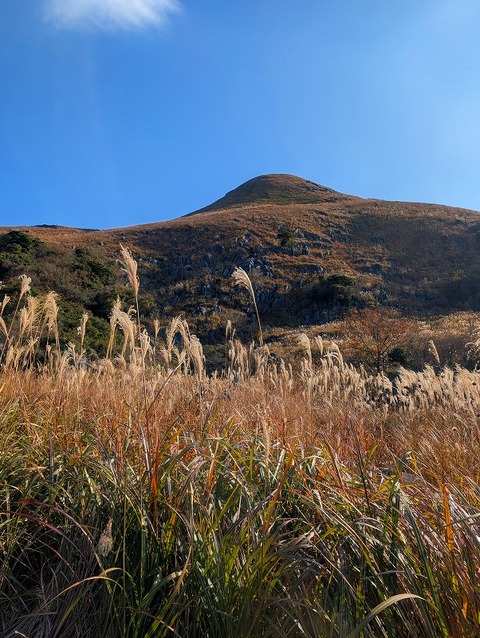 PXL_20251207_003343450