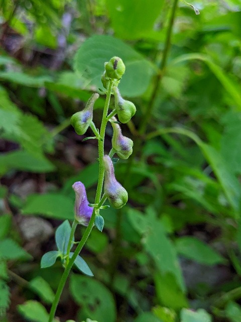 PXL_20220925_032907210.PORTRAIT