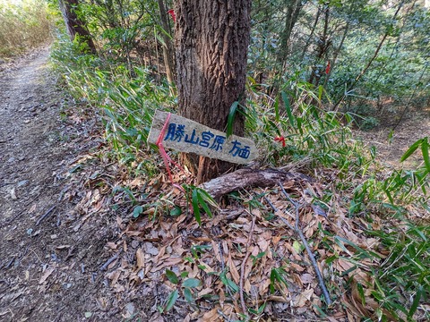 PXL_20220226_051241738