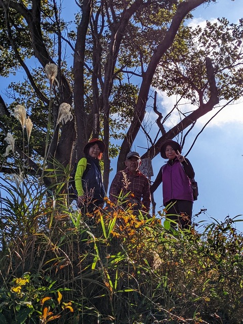 PXL_20221210_031726857