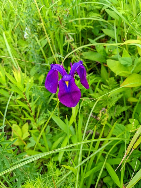 PXL_20220702_233537221