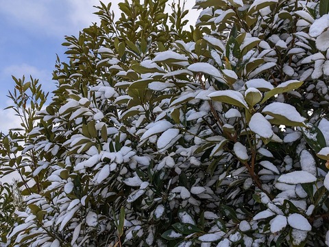 PXL_20221219_035502640