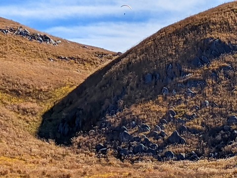 PXL_20211209_040448734