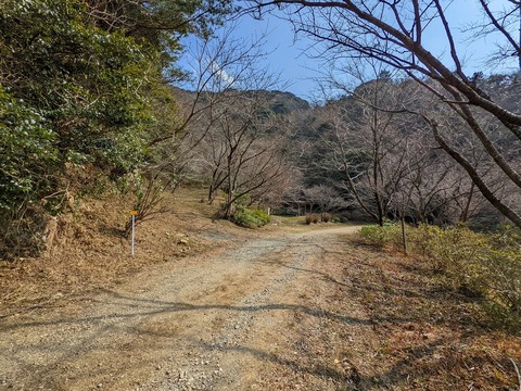 PXL_20220226_045653859