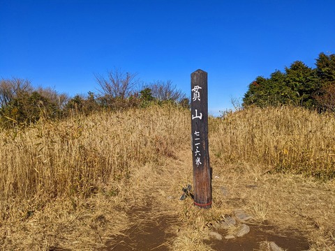 PXL_20211209_022300664