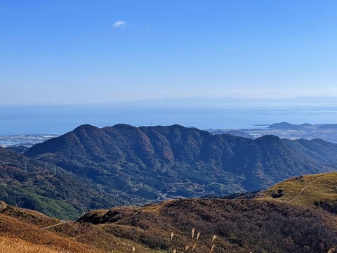 PXL_20211209_014750698.PORTRAIT