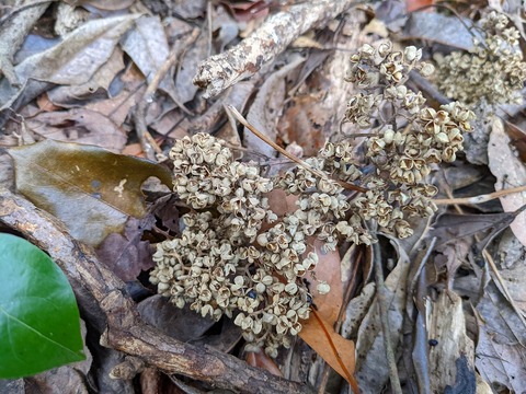 PXL_20220212_025425337