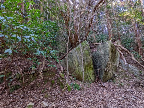 PXL_20220226_043812680