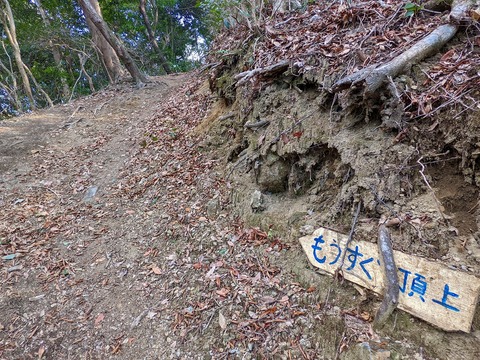 PXL_20220226_053415090