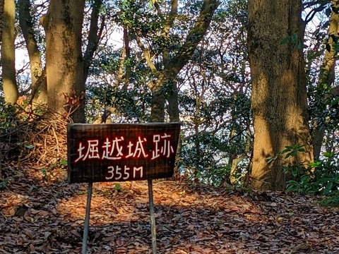 PXL_20221210_024429304.PORTRAIT