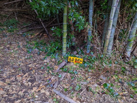 PXL_20220226_045112533