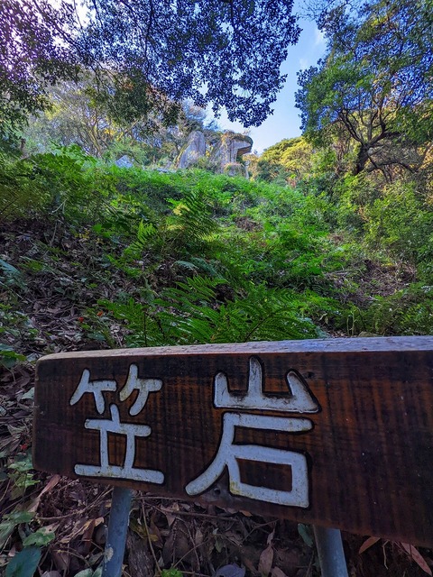 PXL_20221210_015718312