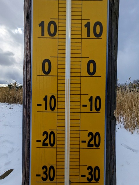 PXL_20221219_041907907