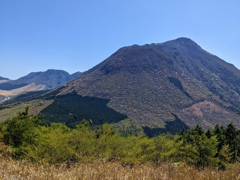 PXL_20220417_012805432