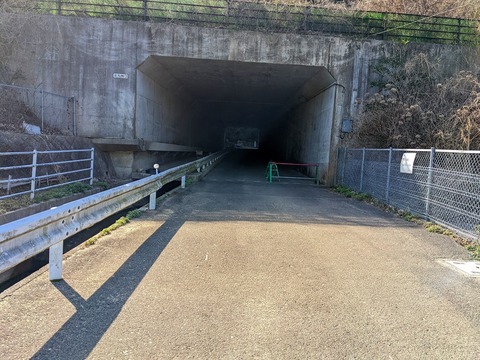 PXL_20220212_014159867