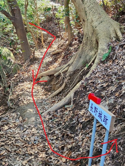 42