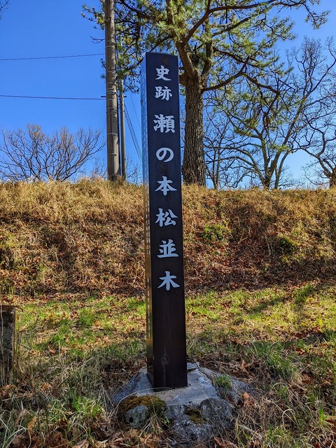 PXL_20220417_062358189