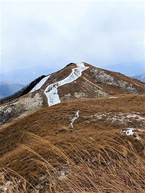 PXL_20221219_034605134