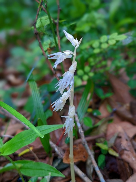 PXL_20220703_034004133.PORTRAIT