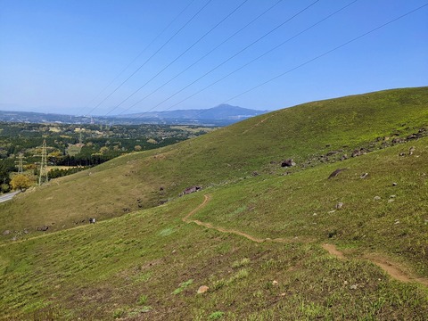 PXL_20220409_033311843