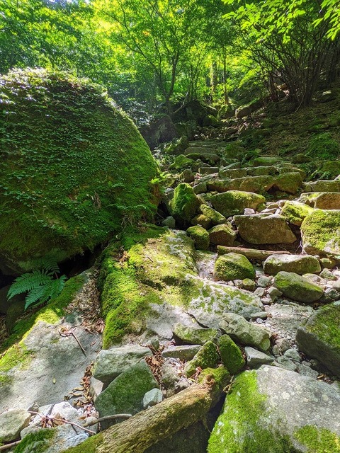 PXL_20210728_012527860