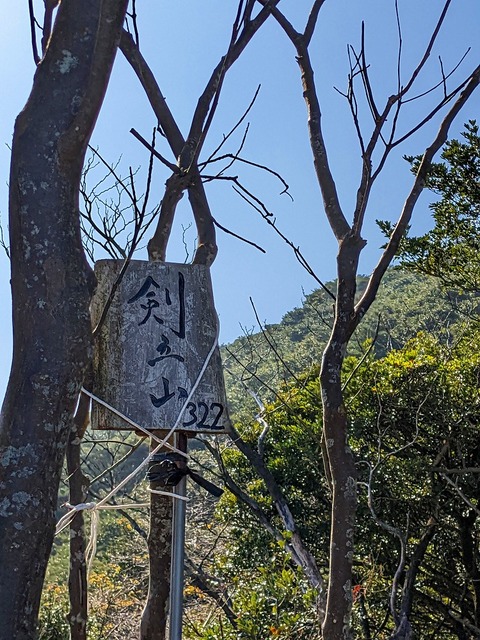 PXL_20221210_031812008