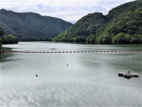 PXL_20210814_234804390.PORTRAIT