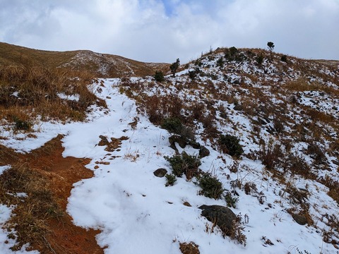 PXL_20221219_033421783