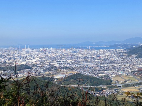 PXL_20221210_032013138