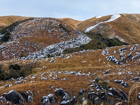 PXL_20221219_020905986