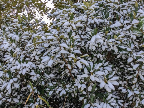 PXL_20221219_035448763