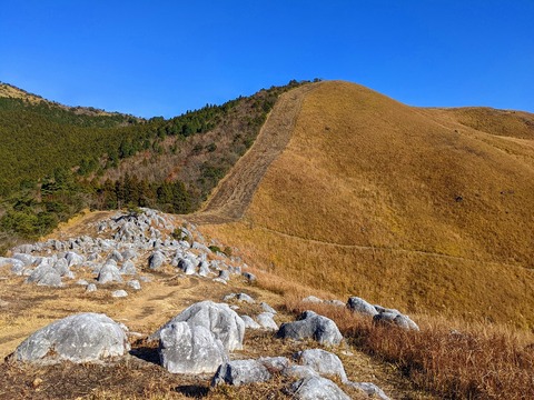 PXL_20211209_033207049