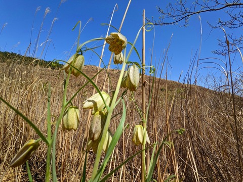 PXL_20220417_023533809