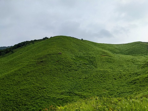 PXL_20220710_234801804