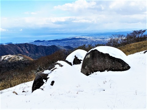 PXL_20221219_041922794