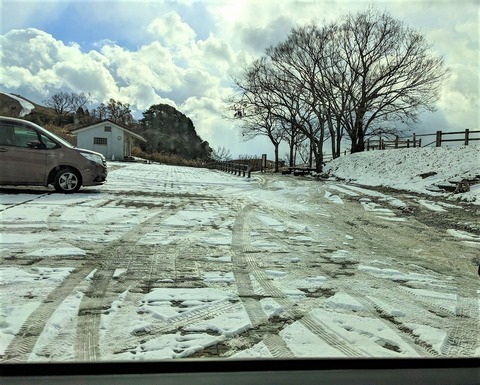 PXL_20221219_022148747 (2)