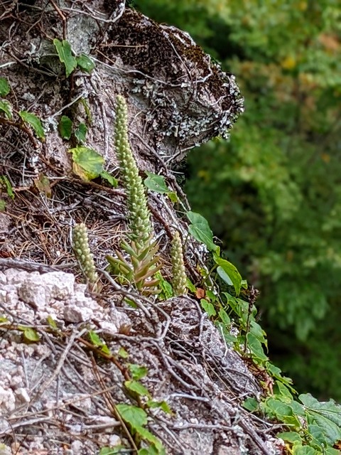 PXL_20221015_053707112.PORTRAIT