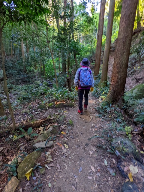 PXL_20221210_011634746