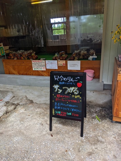 PXL_20210821_020227838