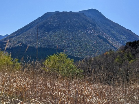 PXL_20220417_004802234