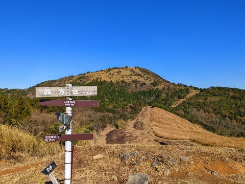 PXL_20211209_015229677