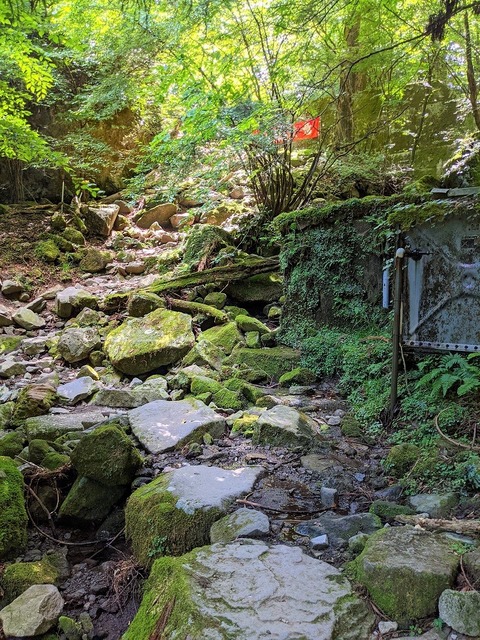 PXL_20210728_011033499