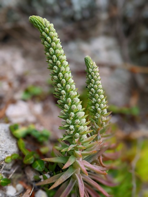 PXL_20221015_053653812.PORTRAIT