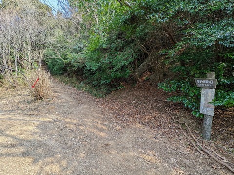 PXL_20220226_045622479