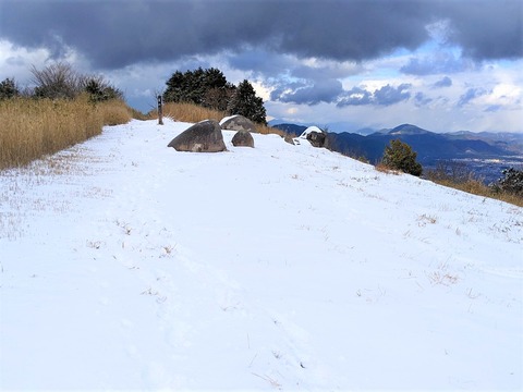 PXL_20221219_041744948