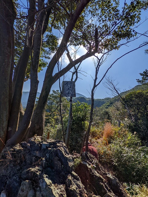 PXL_20221210_031634245