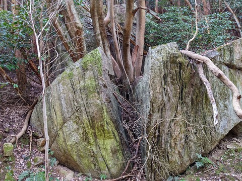 PXL_20220226_043801342