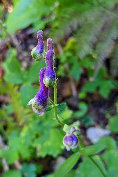 PXL_20220925_033920463.PORTRAIT