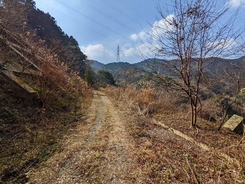 PXL_20220226_042231699